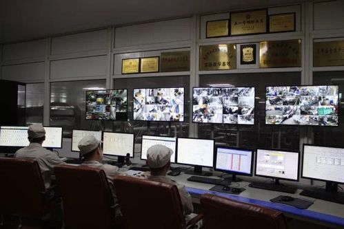 專注乳品九十載，衛崗乳業以優質裝卸服務踐行健康中國夢